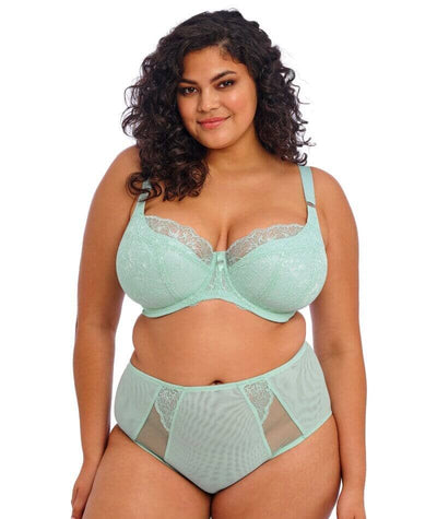 Elomi Brianna Full Brief - Frozen Knickers 
