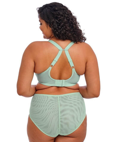 Elomi Brianna Full Brief - Frozen Knickers 