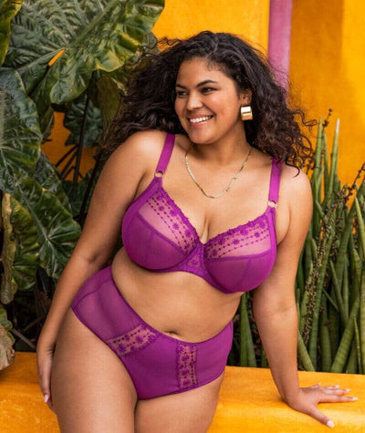Elomi Matilda Full Brief - Hollyhock Knickers 