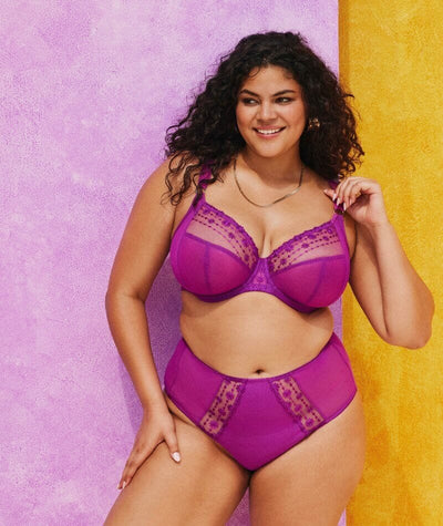 Elomi Matilda Full Brief - Hollyhock Knickers 