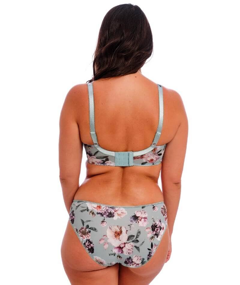 Fantasie Pippa Brief - Meadow Knickers 
