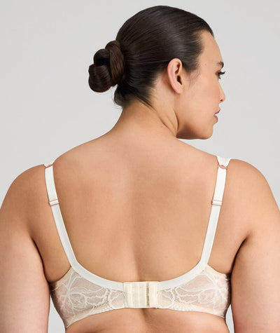 Fayreform Midnight Express Underwire Bra - Egret