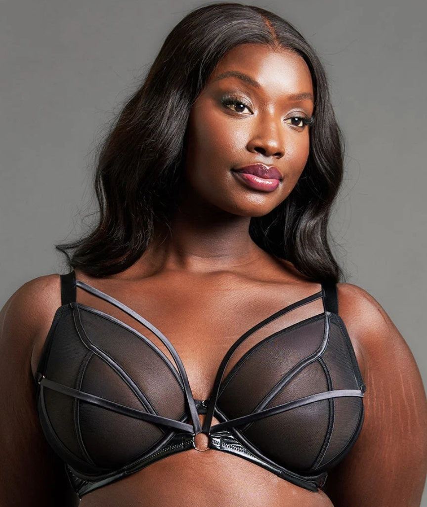 Scantilly Scandal Plunge Bra - Black 