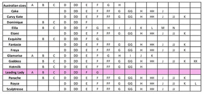 Leading Lady Lightly Padded Contour Underwired Bra - Black Bras 