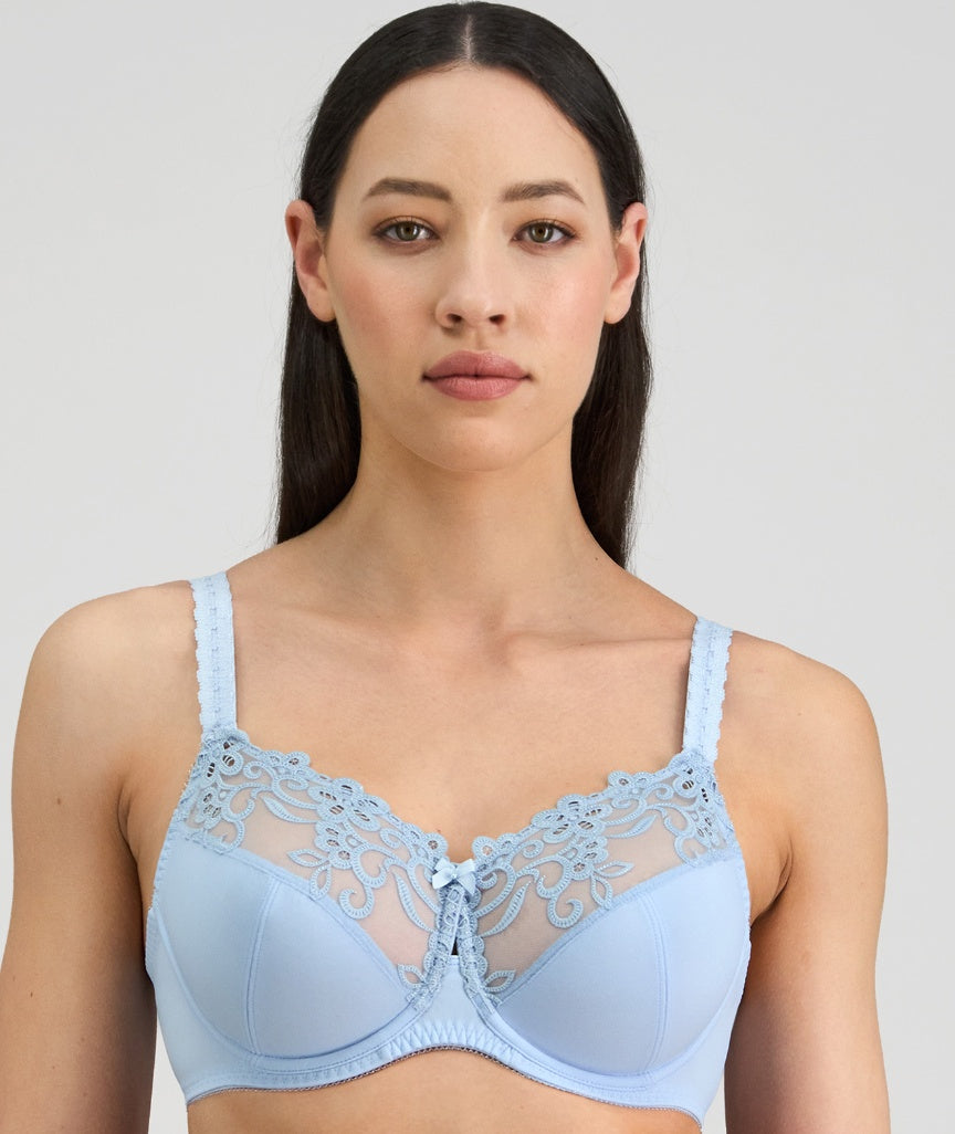 Fayreform Coral Underwire Bra - Skyway 