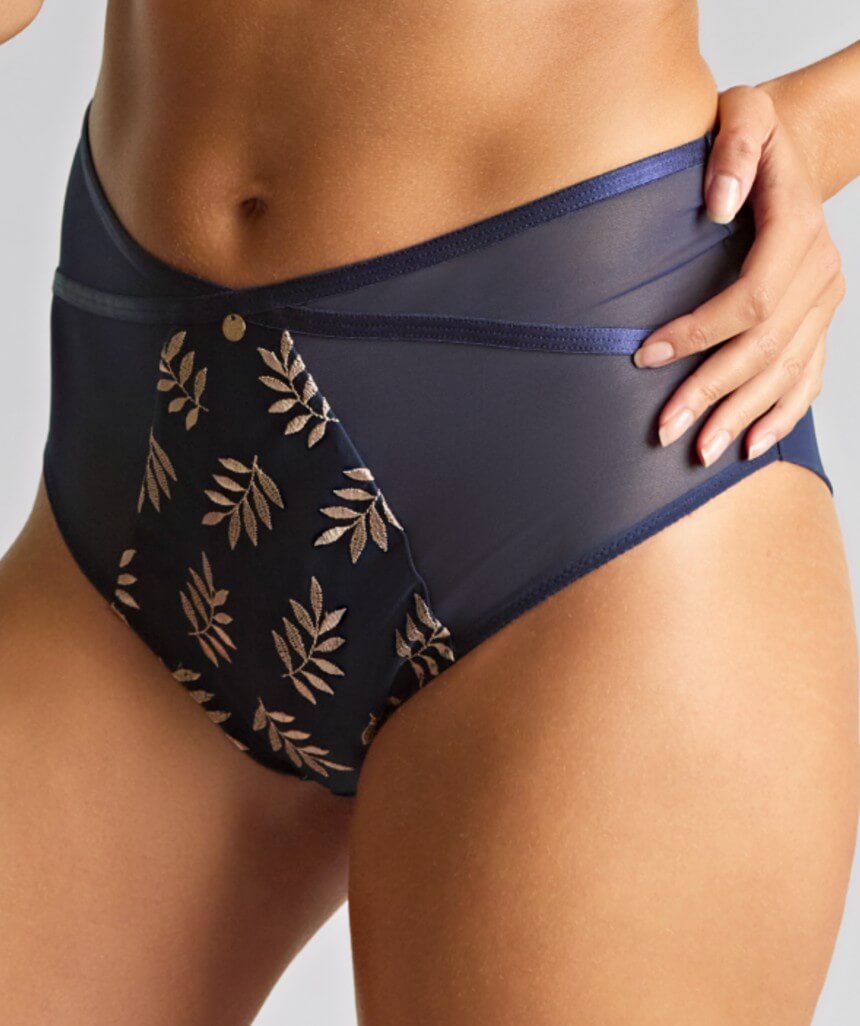 Panache Tango Deep Brief - Navy/Champagne