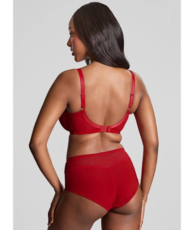 Panache Tango Lace Deep Brief - Scarlet Knickers 