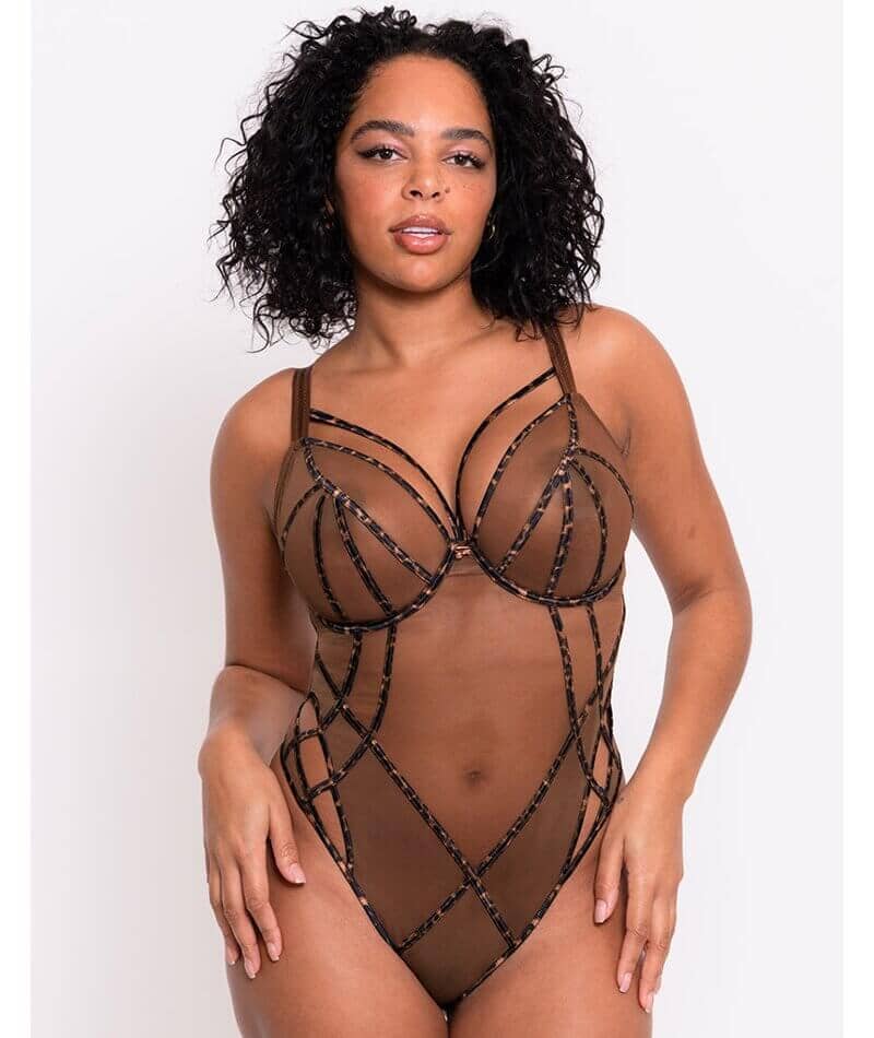 Scantilly Senses Plunge Bodysuit - Leopard Brown Bodysuits & Basques 