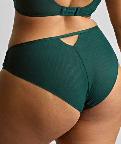 Sculptresse Josephine High Leg Brief - Forest Green