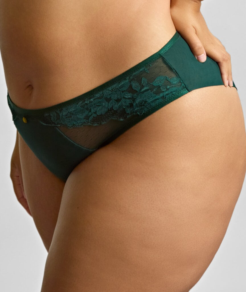 Sculptresse Josephine High Leg Brief - Forest Green