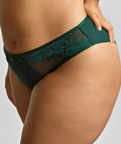 Sculptresse Josephine High Leg Brief - Forest Green