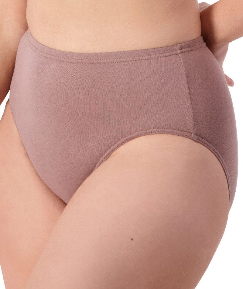 Sloggi Hikini 2 Pack Brief - Riviera/Cacao Knickers 