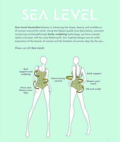 Sea Level Essentials Spliced B-DD Cup One Piece Swimsuit - Black Swim 