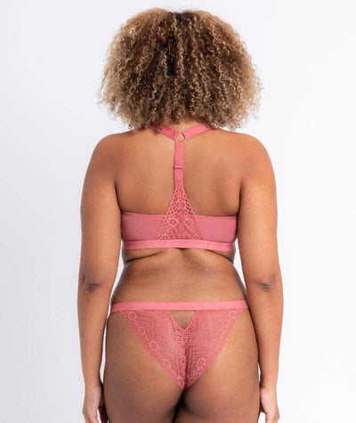 Curvy Kate Front and Centre Brazilian Brief - Rose Knickers 
