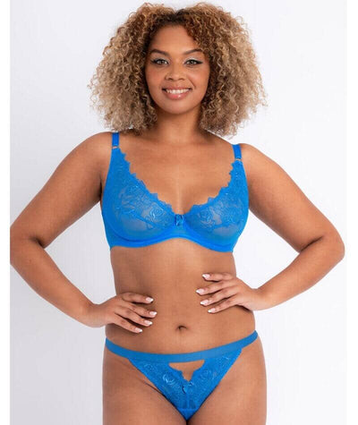Curvy Kate Stand Out Scooped Plunge Bra - Electric Blue Bras 