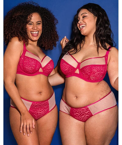 Curvy Kate Victory Wild Short - Hot Pink/ Blush Knickers 