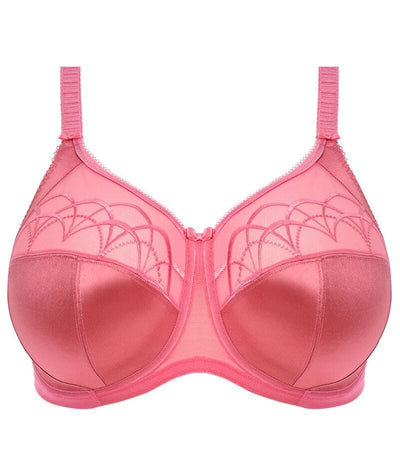 Elomi Cate Underwired Full Cup Banded Bra - Desert Rose Bras 