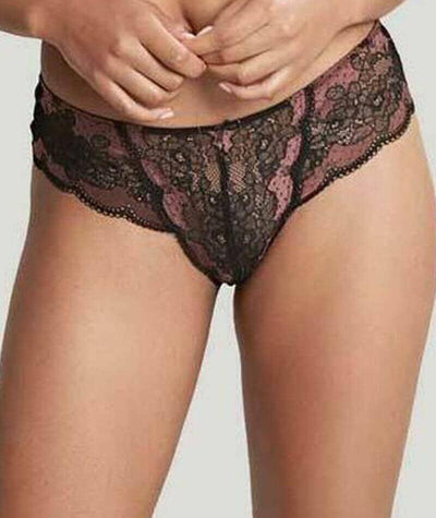 Panache Clara Brief - Black/Fig Knickers 