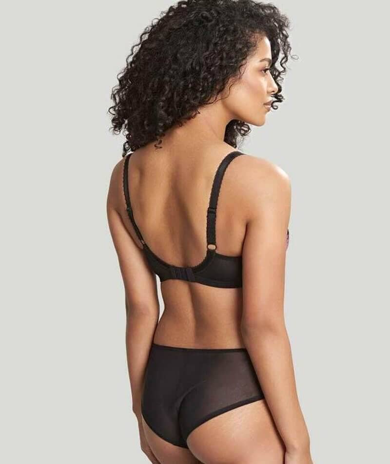 Panache Clara Brief - Black/Fig Knickers 