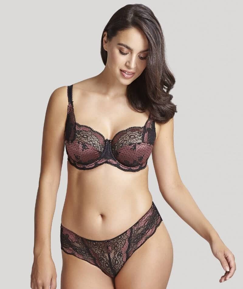 Panache Clara Brief - Black/Fig Knickers 