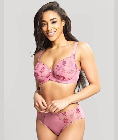 Panache Tango Brief - Rose Knickers 