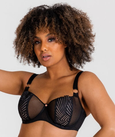 Scantilly Authority Balcony Bra - Black Bras 