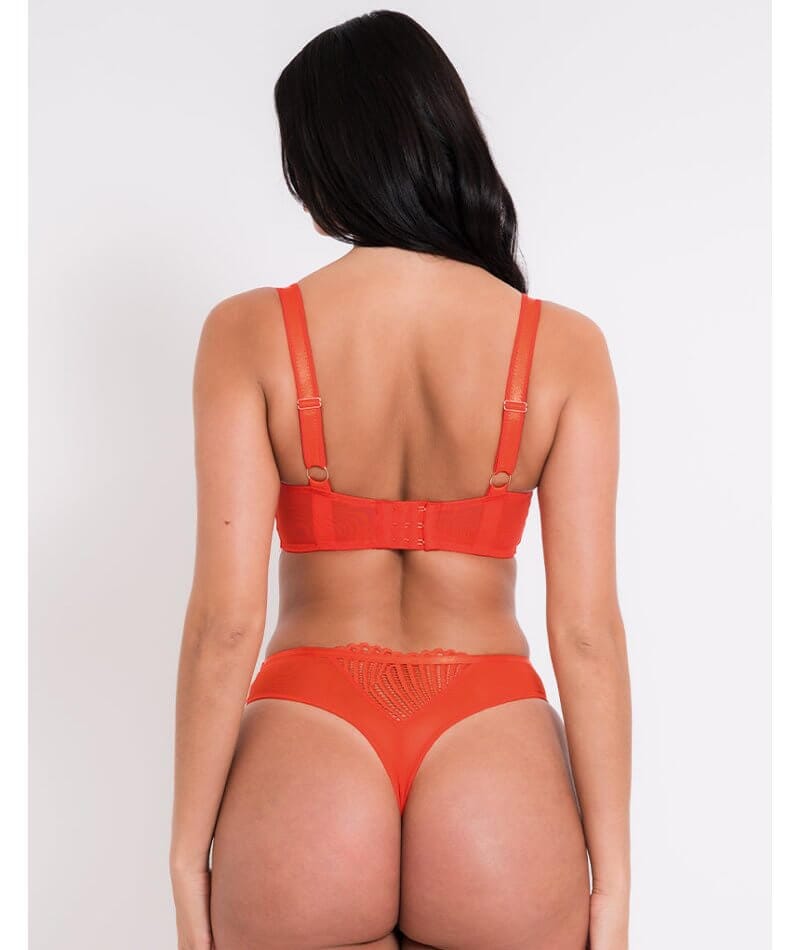 Scantilly Authority Thong - Lava Red Knickers 