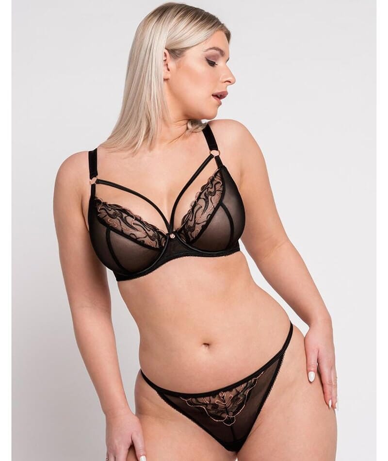 Scantilly Fascinate Plunge Bra - Black Bras 