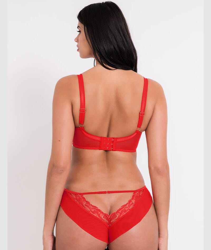 Scantilly Fascinate Brazilian Brief - Poppy Red Knickers 