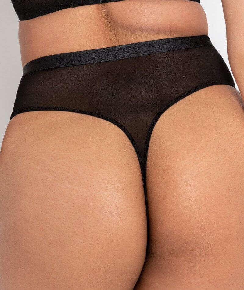 Scantilly Lovers Knot Thong - Black/Latte Beige Knickers 
