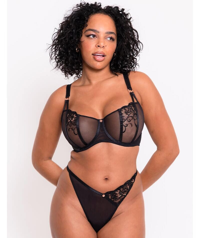 Scantilly Ornate Thong - Black Knickers 