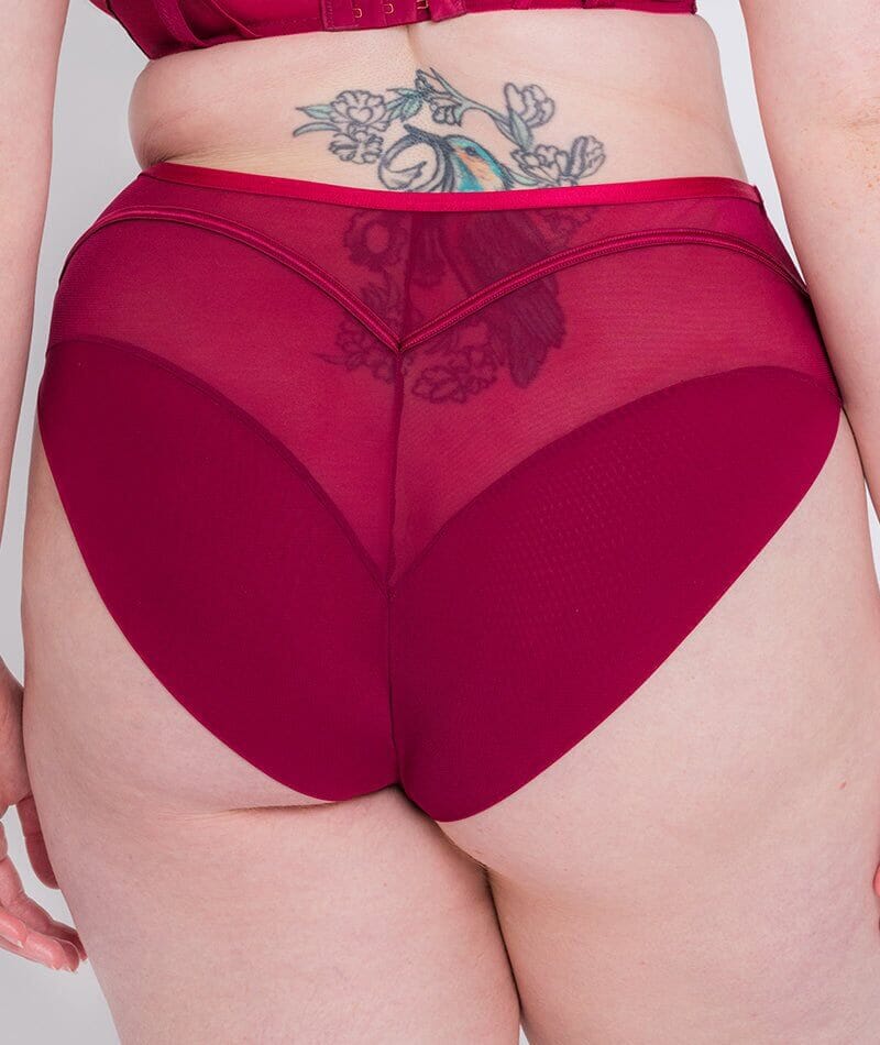 Scantilly Senses High Waist Brief - Cherry Purple