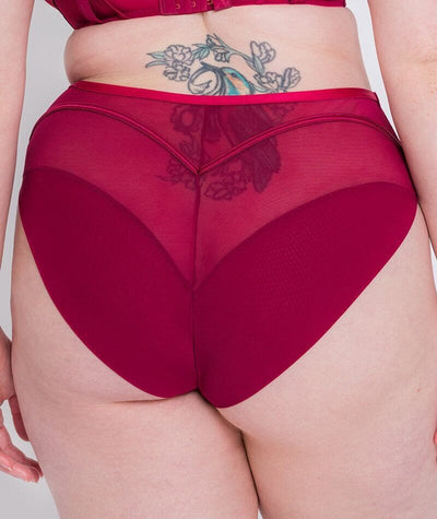 Scantilly Senses High Waist Brief - Cherry Purple Knickers 