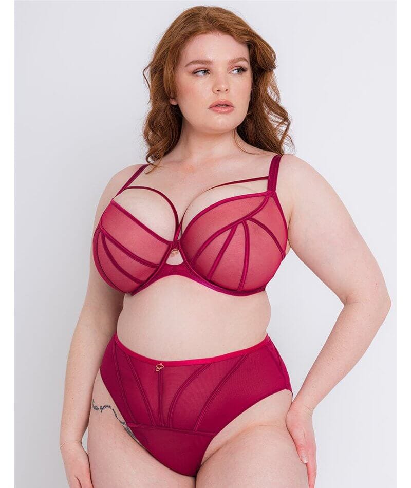 Scantilly Senses High Waist Brief - Cherry Purple Knickers 