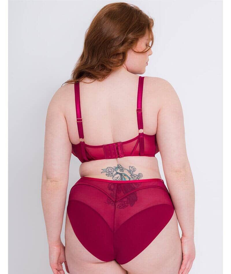 Scantilly Senses High Waist Brief - Cherry Purple Knickers 