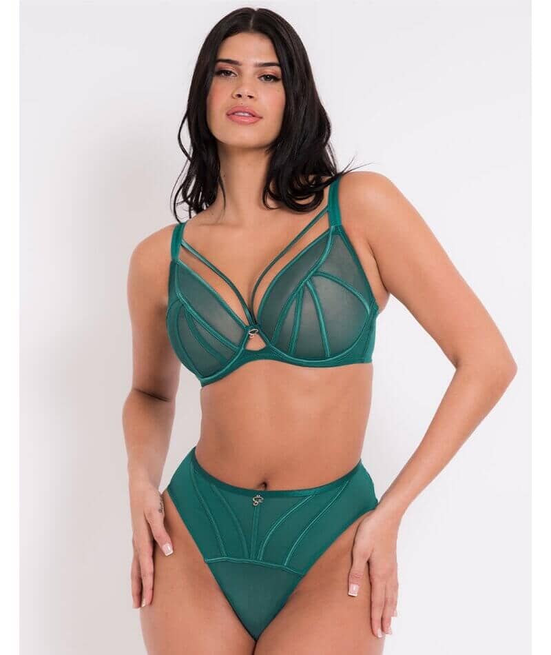 Scantilly Senses High Waist Brief - Verdigris Green Knickers 