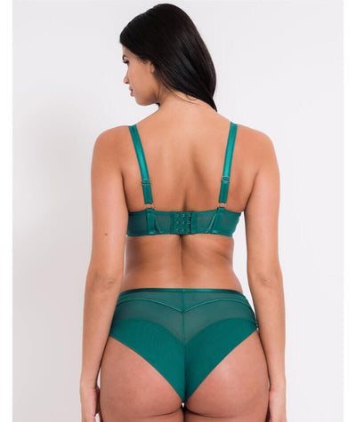 Scantilly Senses High Waist Brief - Verdigris Green Knickers 