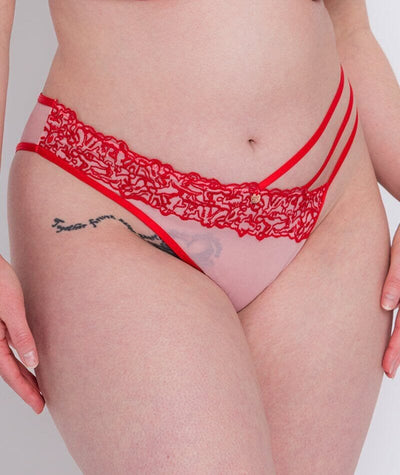 Scantilly Tantric Brazilian Brief - Pink/Red Knickers 