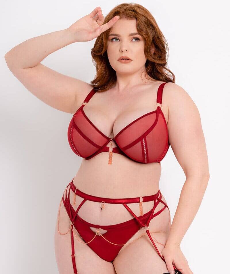 Scantilly Unchained High Waist Brief - Deep Red Knickers 