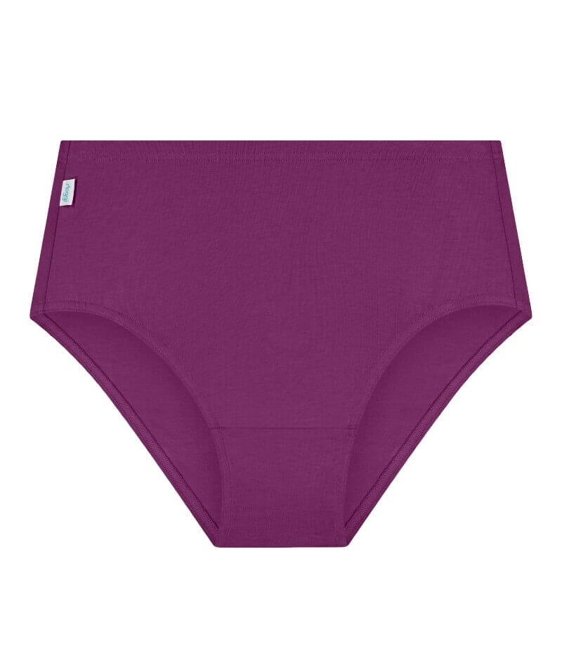 Sloggi Hikini 2 Pack Brief - Violet - Dark Combination Knickers 